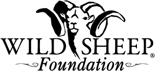 Wild Sheep Foundation